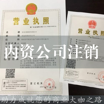 內資公司注銷