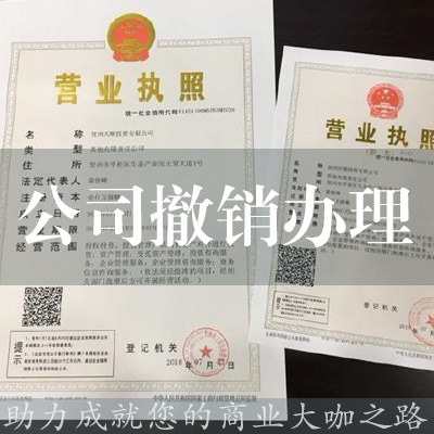 公司撤銷辦理