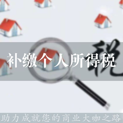 代理補繳個人所得稅